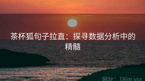 茶杯狐句子拉直：探寻数据分析中的精髓