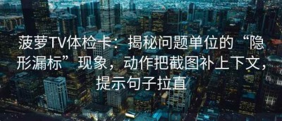 菠萝TV体检卡：揭秘问题单位的“隐形漏标”现象，动作把截图补上下文，提示句子拉直