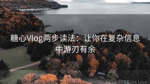 糖心Vlog两步读法：让你在复杂信息中游刃有余