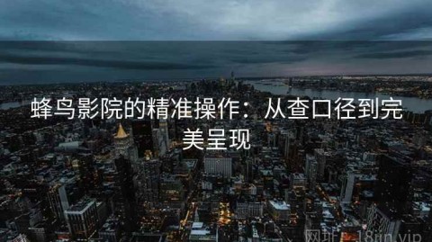 蜂鸟影院的精准操作：从查口径到完美呈现