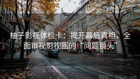 柚子影视体检卡：揭开幕后真相，全面审视影视圈的“问题镜头”