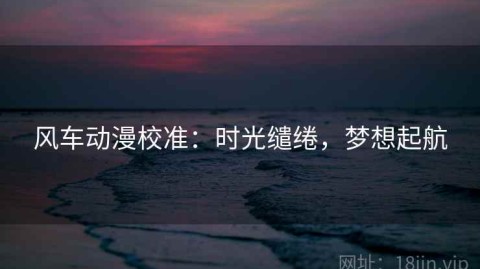 风车动漫校准：时光缱绻，梦想起航