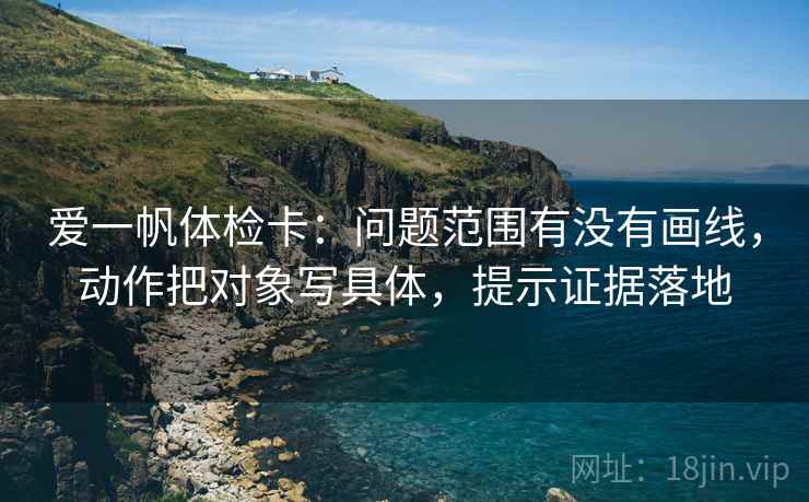 爱一帆体检卡：问题范围有没有画线，动作把对象写具体，提示证据落地